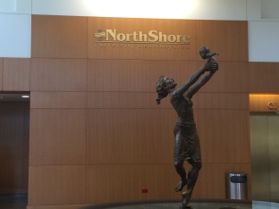 NorthShore University HealthSystem (Highland Park, IL); Brass Dimensional Letters and Logo